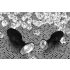 You2Toys - Diamond - szilikon anál plug (kicsi)