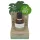 Coconutoil - bio Szőrtelenítés & Borotválkozás Utáni Olaj (50 ml)