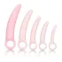 CalExotics Inspire - egészségügyi hüvely tágító szett (pink)