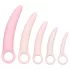 CalExotics Inspire - egészségügyi hüvely tágító szett (pink)