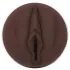 Fleshlight Nicole Kitt Purrrrrfection - maszturbátor - vagina