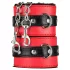 Secret Pleasure Chest - haladó BDSM készlet - 10 részes (piros)